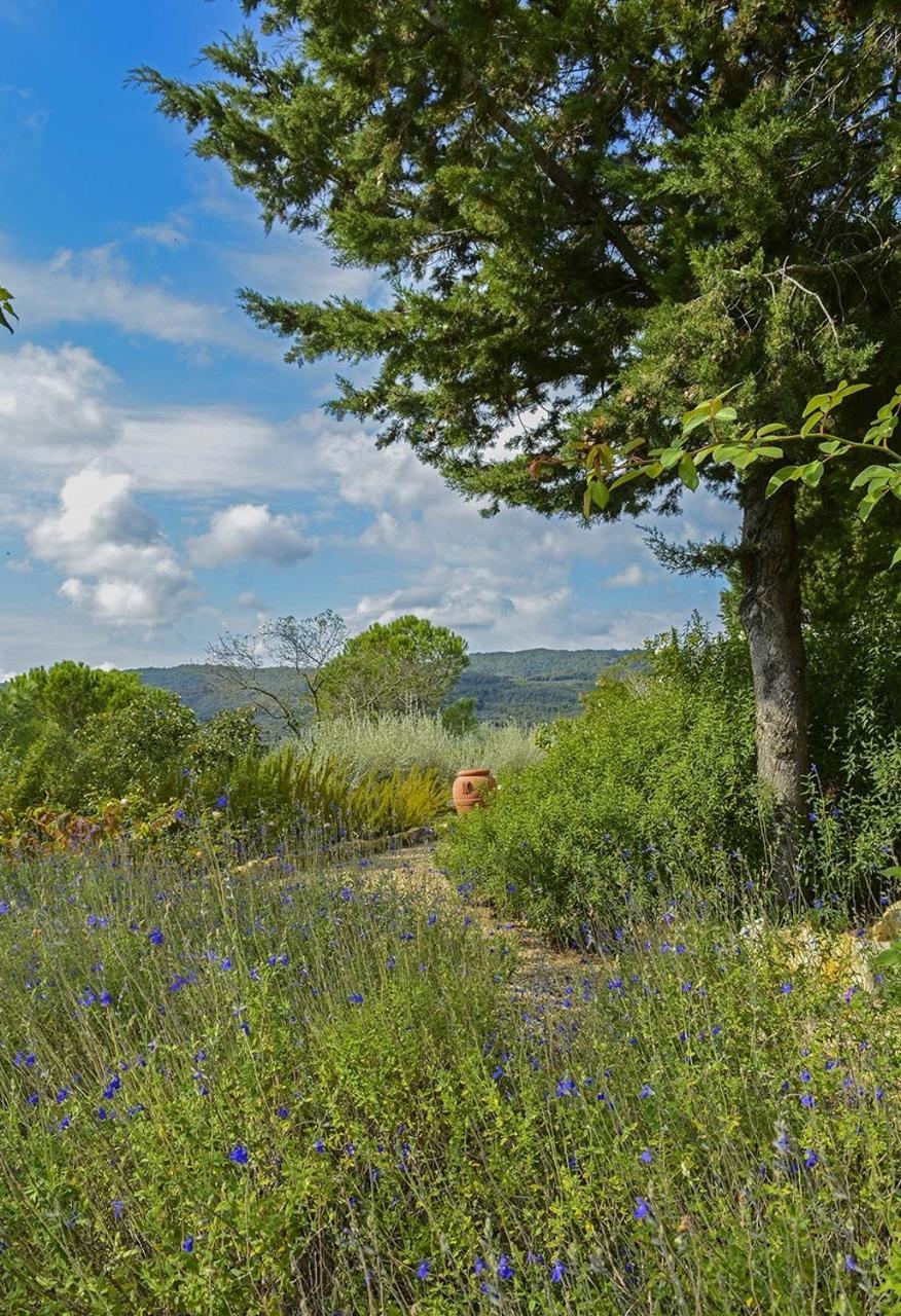 Il Verreno Bucine Esterno foto